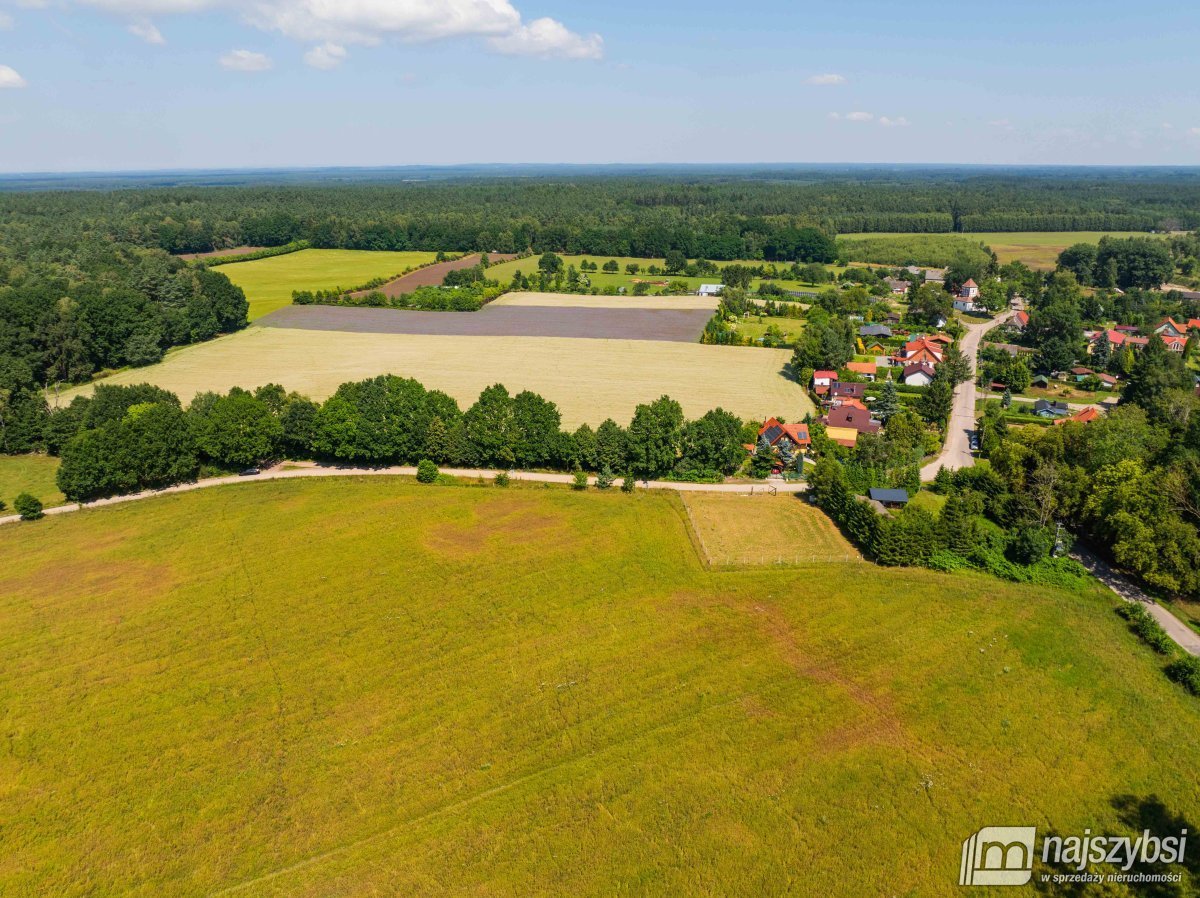 Stara Dobrzyca - duża działka nad jeziorem (8)