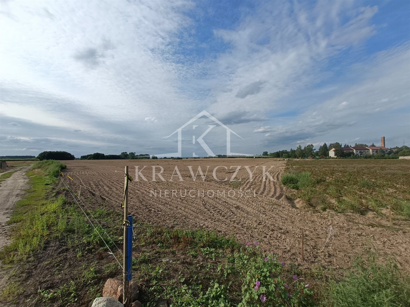 Działka, Bielice  (1)