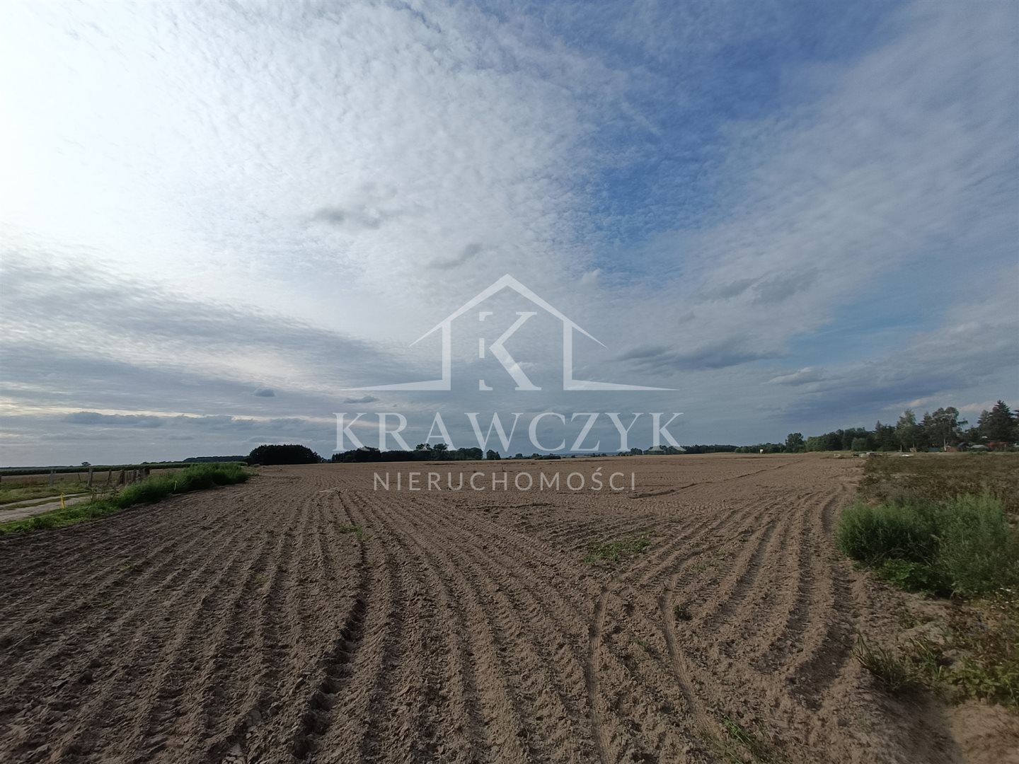 Działka, Bielice  (3)