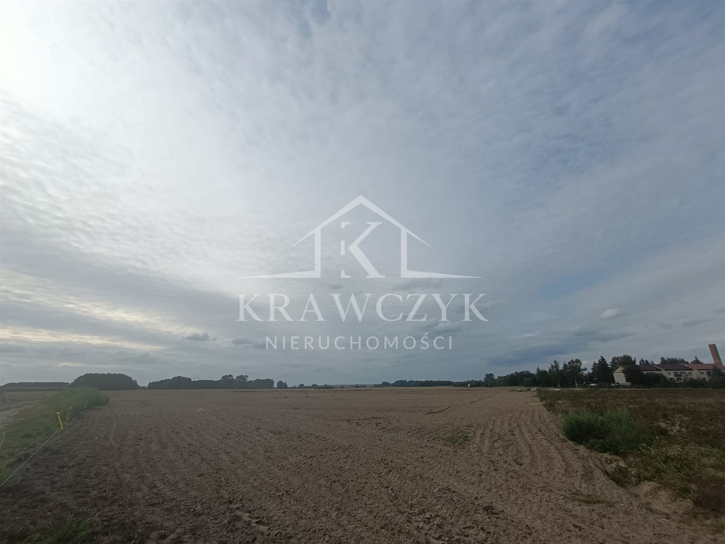 Działka, Bielice  (4)