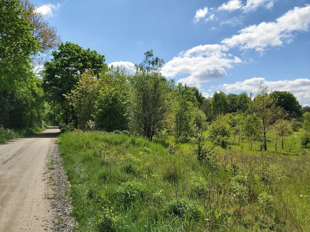 Działka budowlana nad jeziorem PILE (2)