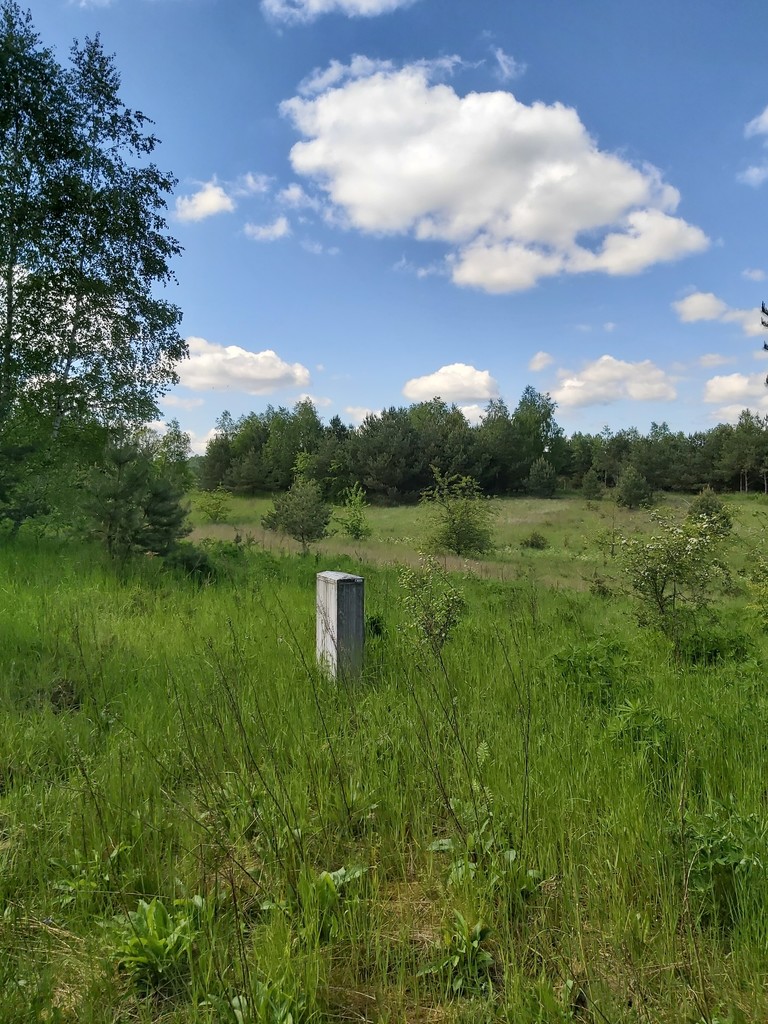 Działka budowlana nad jeziorem PILE (3)