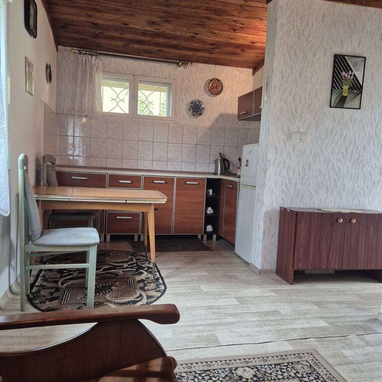 Bartoszewo dom nad jeziorem,przy lesie za 105tys. (7)