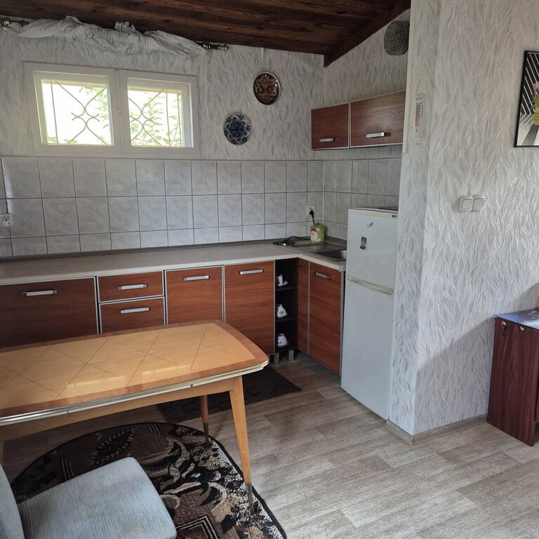 Bartoszewo dom nad jeziorem,przy lesie za 105tys. (10)