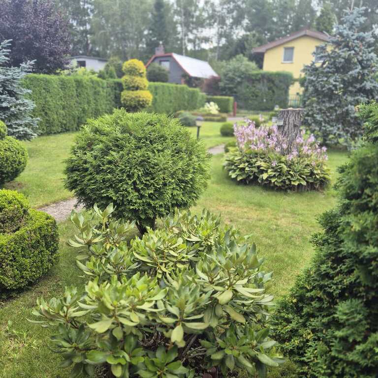 Bartoszewo dom nad jeziorem,przy lesie za 105tys. (9)