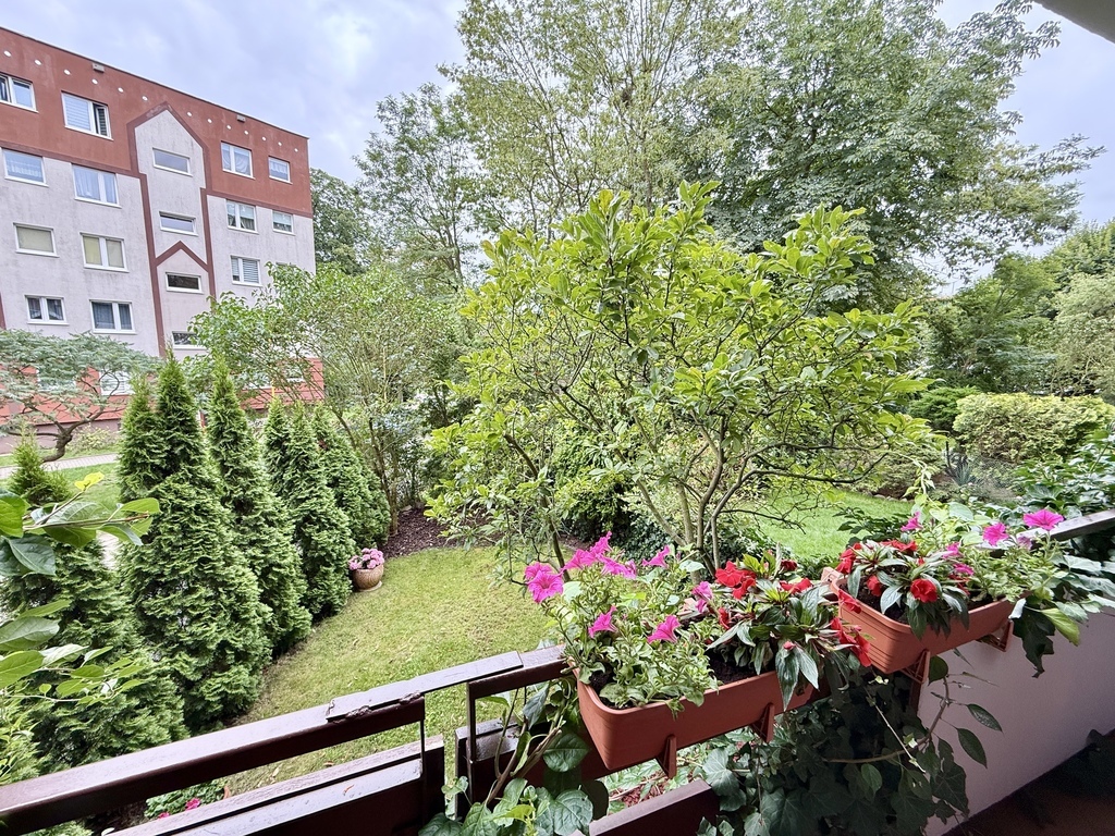 Mieszkanie z pięknym ogrodem na Osiedlu Bukowym (12)