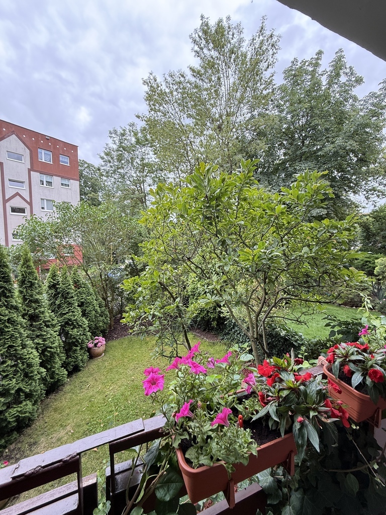 Mieszkanie z pięknym ogrodem na Osiedlu Bukowym (12)