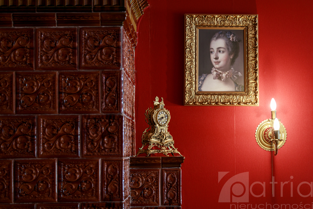 Przestronny i stylowy dom pod Goleniowem. (4)