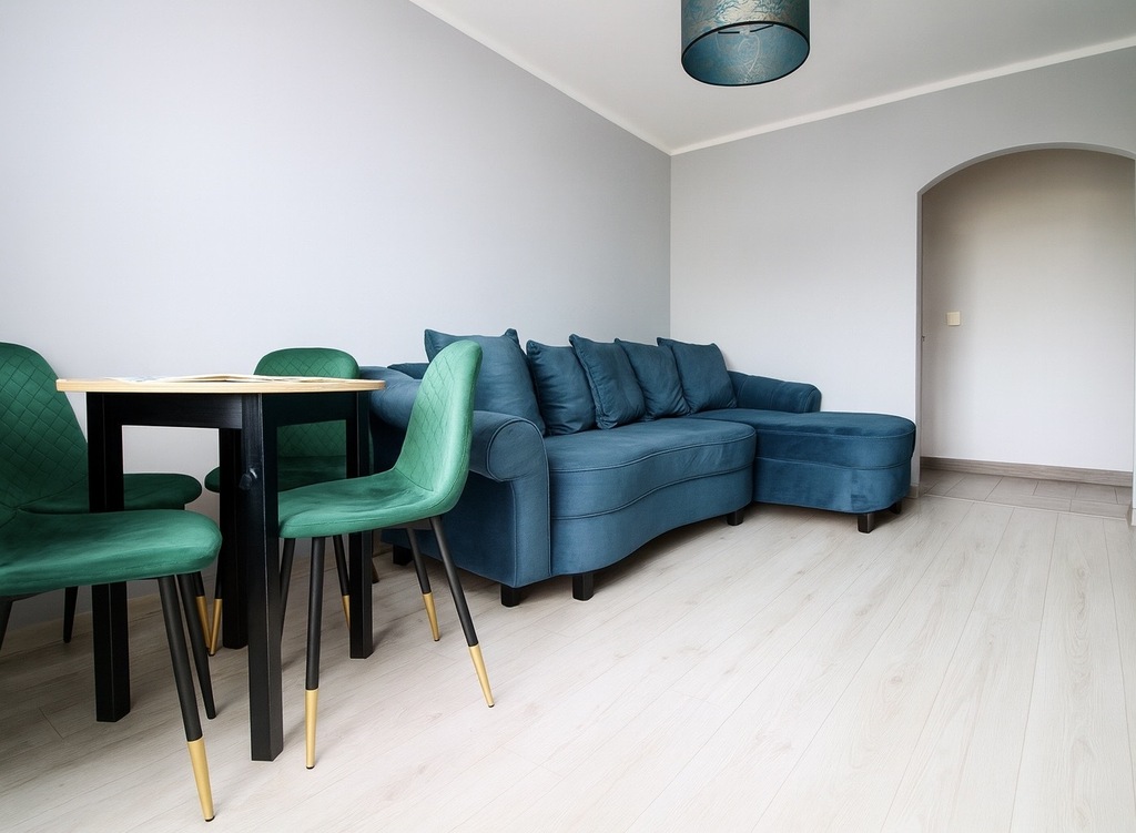 Klimatyczne mieszkanie 2 pokojowe - Os. Hallera (3)