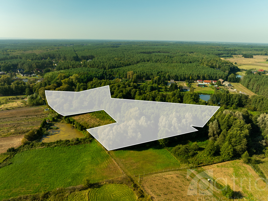 Twoja oaza natury z potencjałem – Stawno, 2,92 ha! (14)