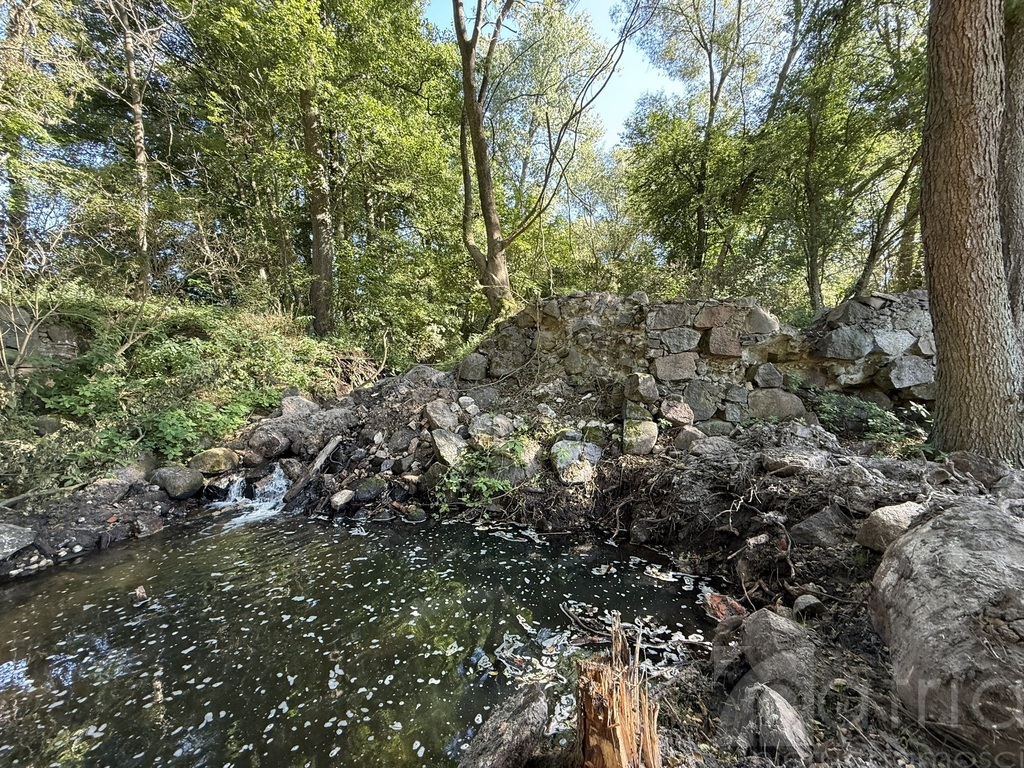 Twoja oaza natury z potencjałem – Stawno, 2,92 ha! (5)