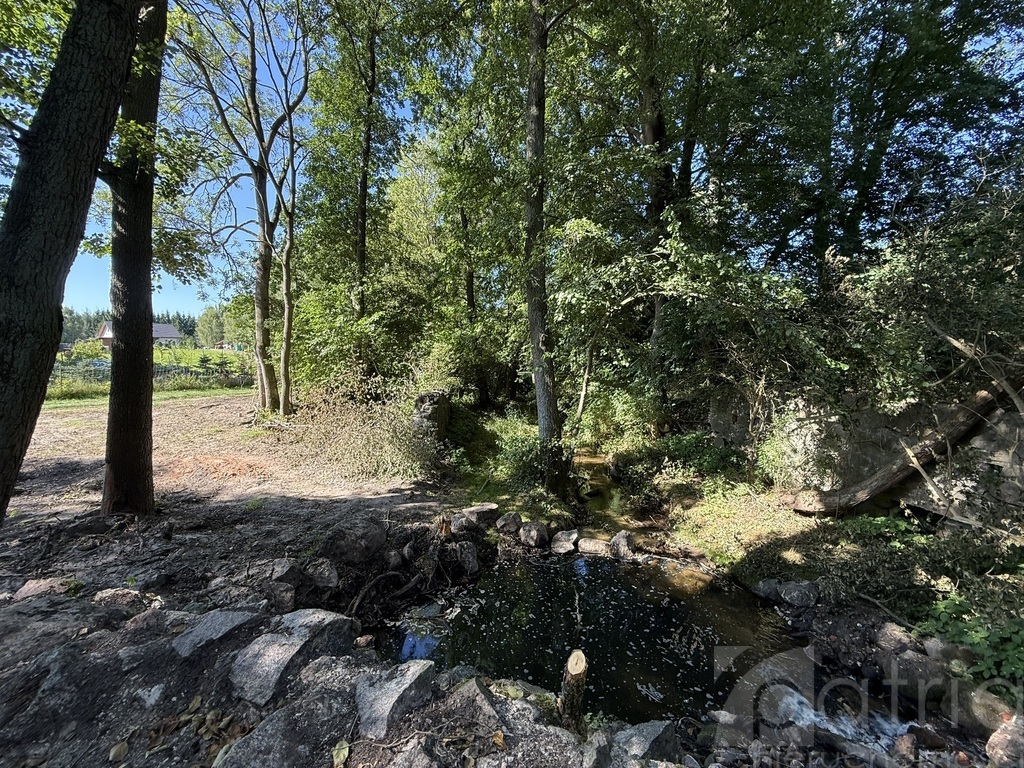 Twoja oaza natury z potencjałem – Stawno, 2,92 ha! (1)