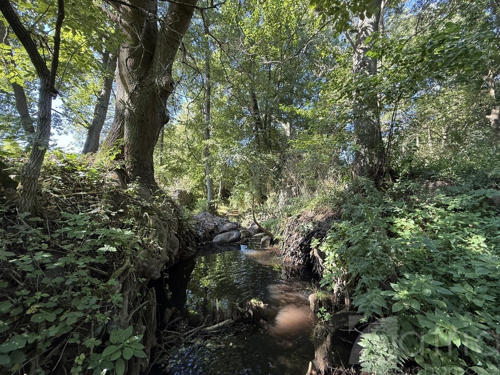 Twoja oaza natury z potencjałem – Stawno, 2,92 ha! (6)