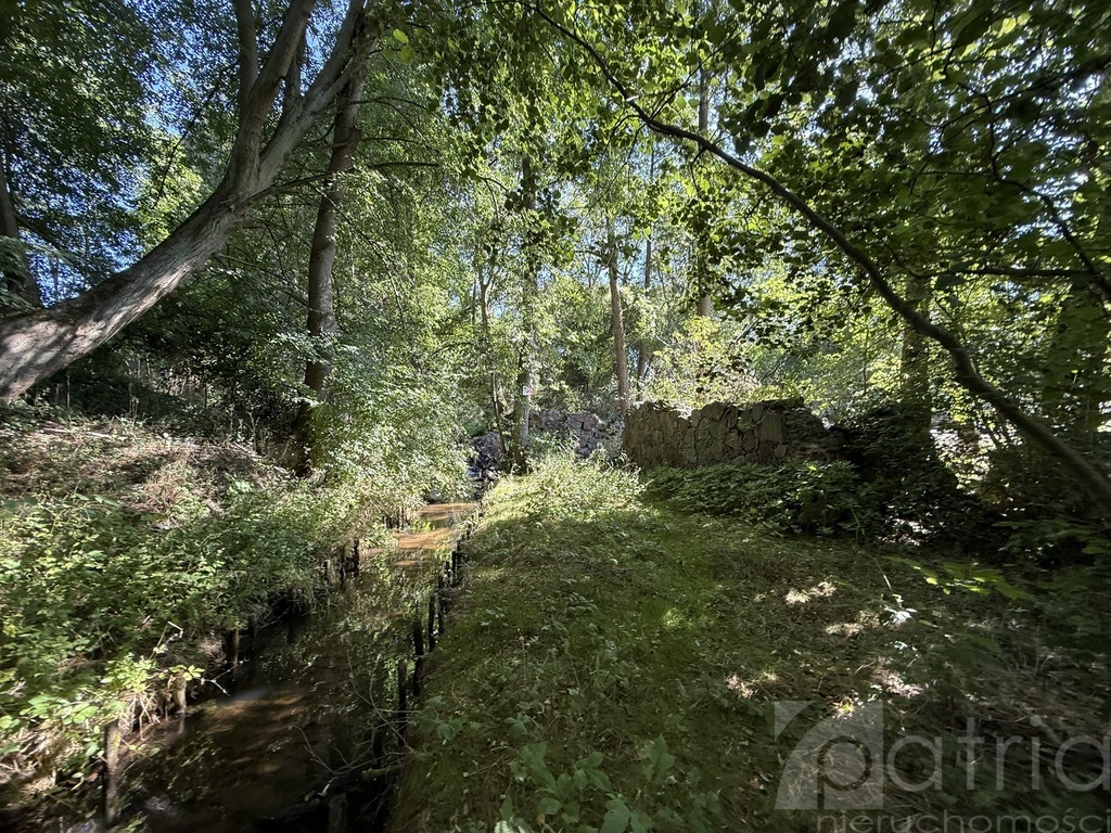 Twoja oaza natury z potencjałem – Stawno, 2,92 ha! (2)