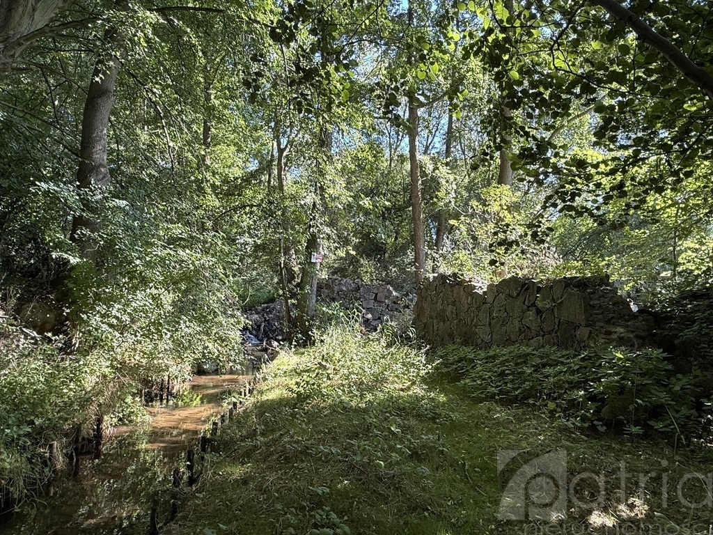 Twoja oaza natury z potencjałem – Stawno, 2,92 ha! (4)