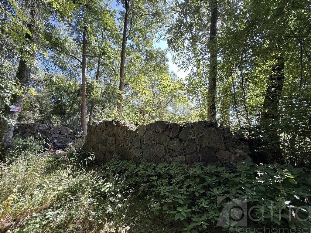 Twoja oaza natury z potencjałem – Stawno, 2,92 ha! (3)