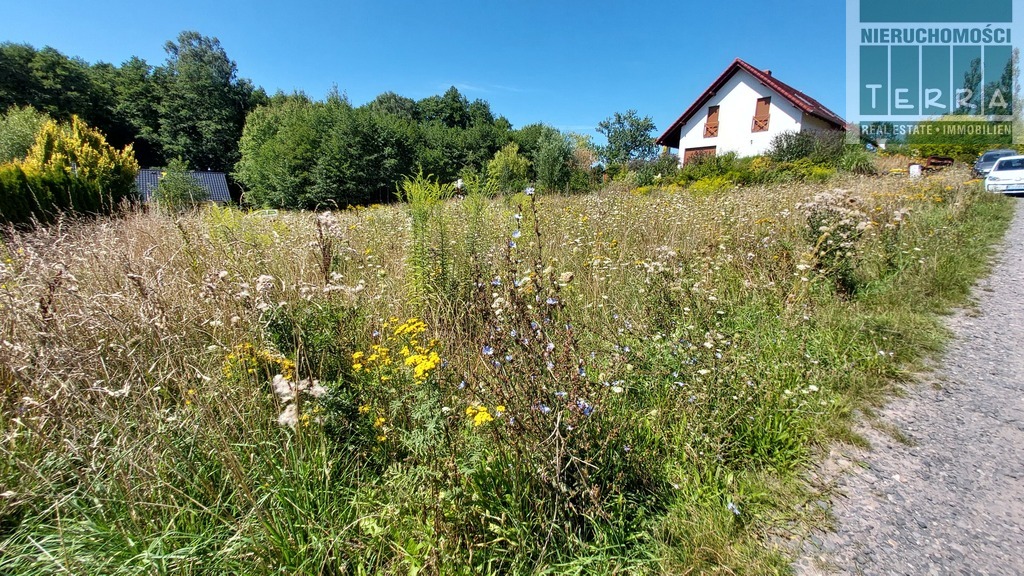 DROSZKÓW/ŁAZ działka z planem zagospodarowania (7)