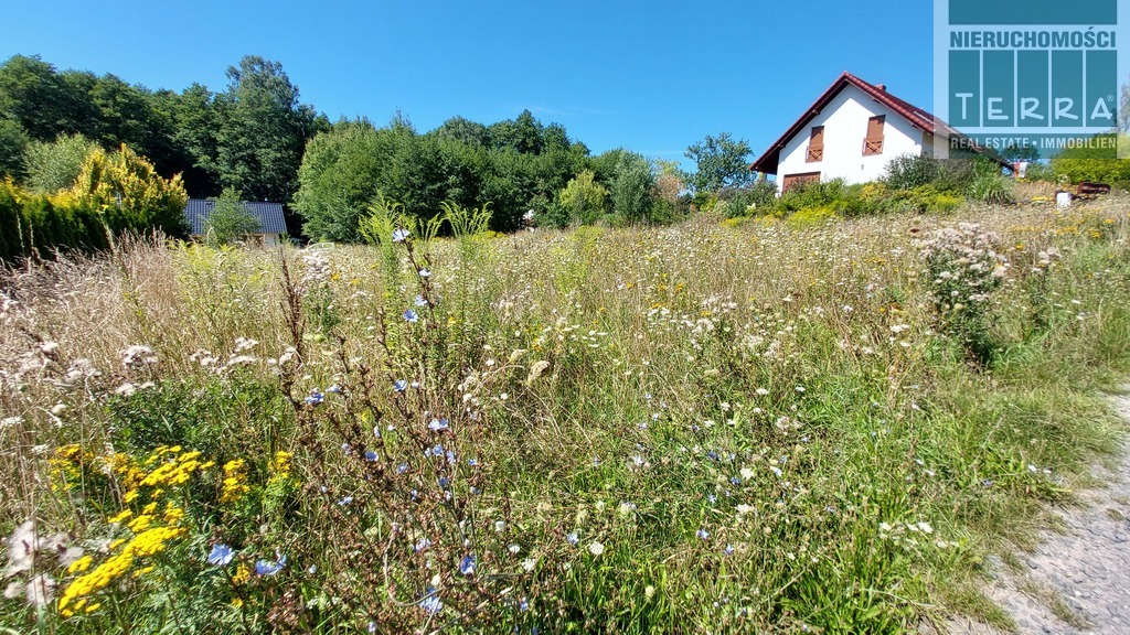 DROSZKÓW/ŁAZ działka z planem zagospodarowania (9)