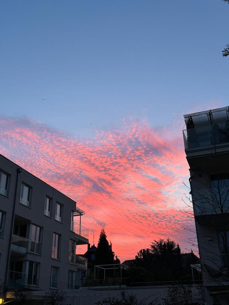 Apartament z garażem przy parku na Pogodnie (22)