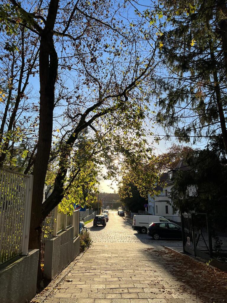 Apartament z garażem przy parku na Pogodnie (19)