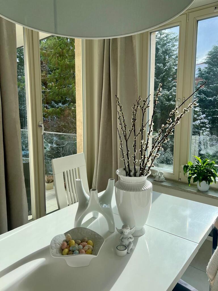 Apartament z garażem przy parku na Pogodnie (7)