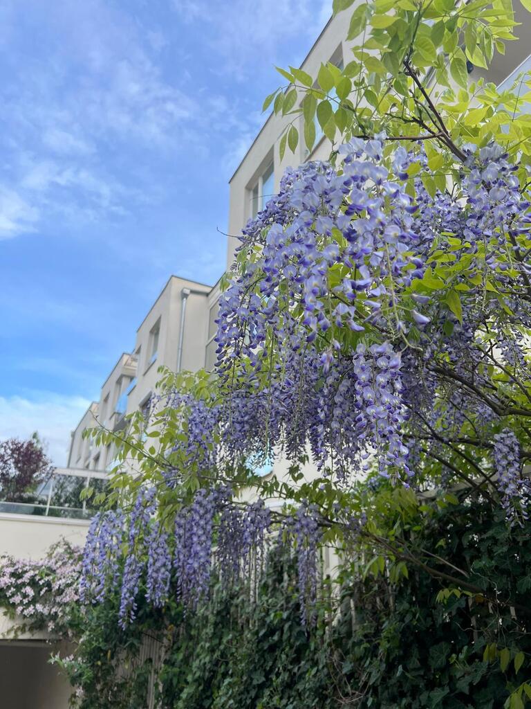 Apartament z garażem przy parku na Pogodnie (24)