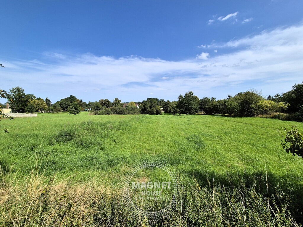 Dom wiejski do wykończenia na działce 7500m (8)