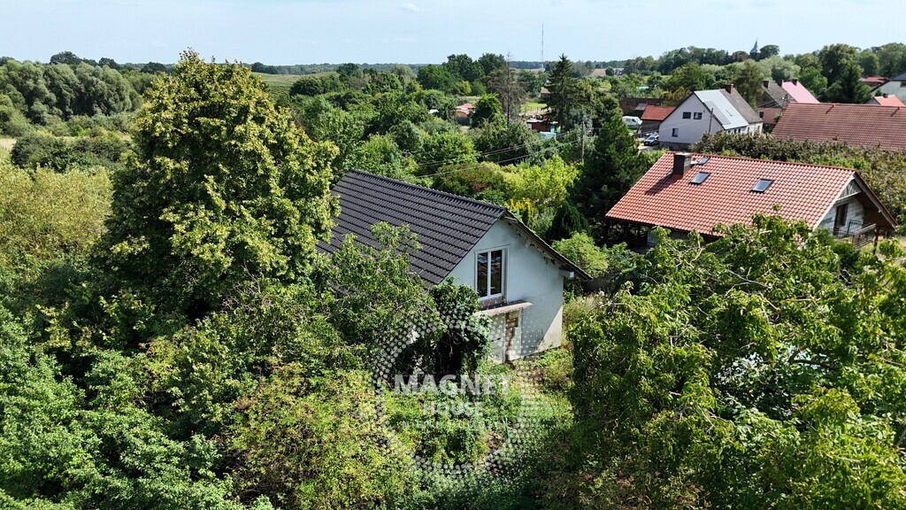 Dom wiejski do wykończenia na działce 7500m (10)