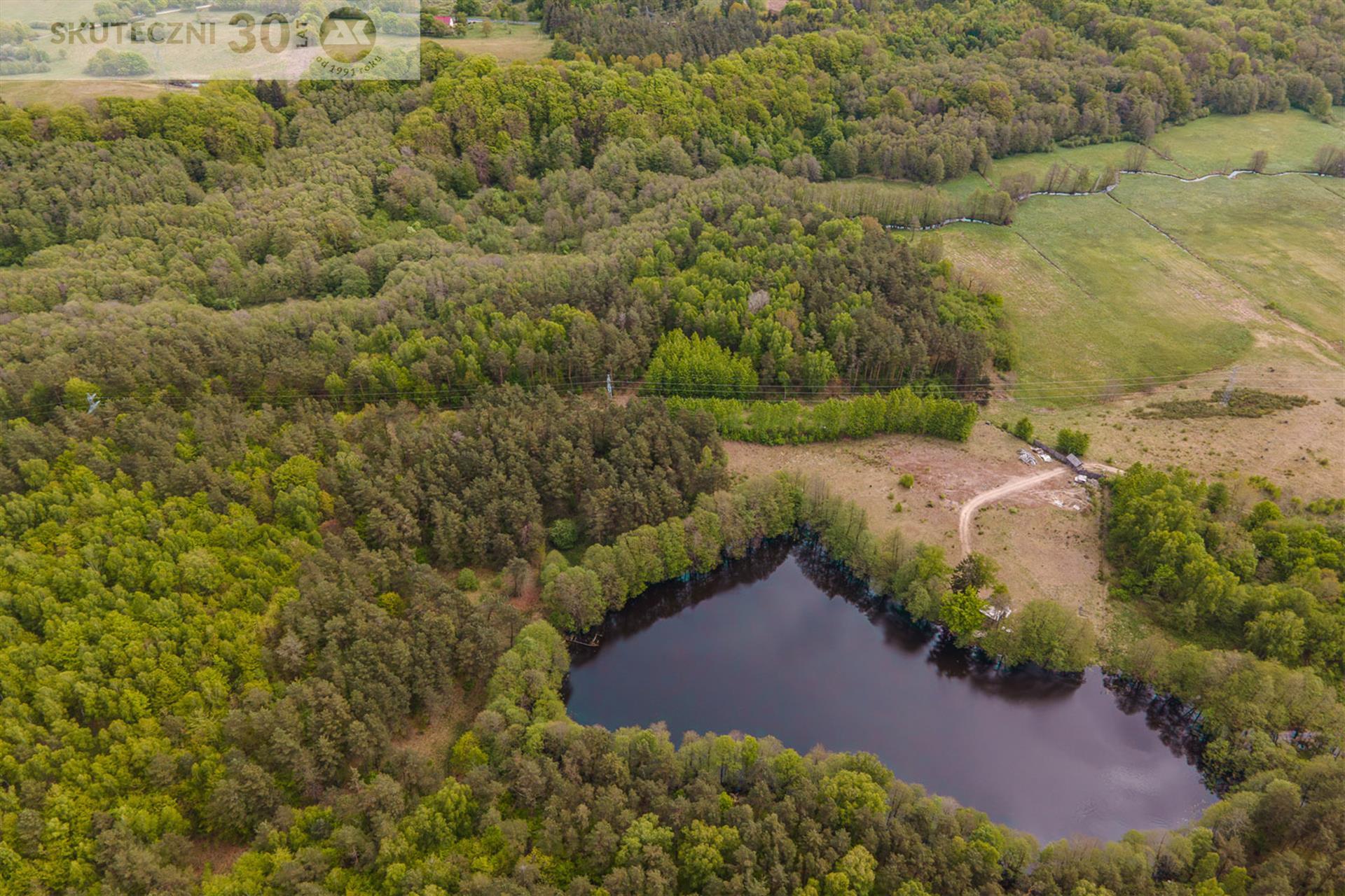 Działka - Drzewiany  (1)