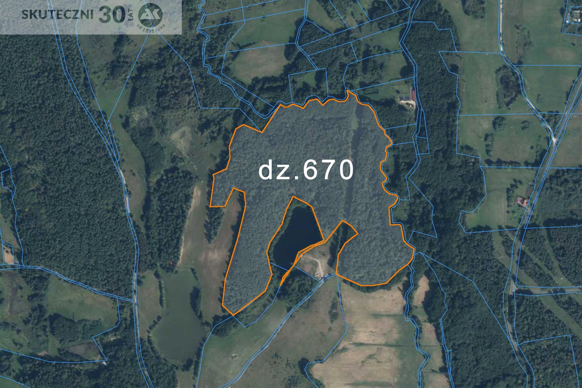 Działka - Drzewiany  (2)
