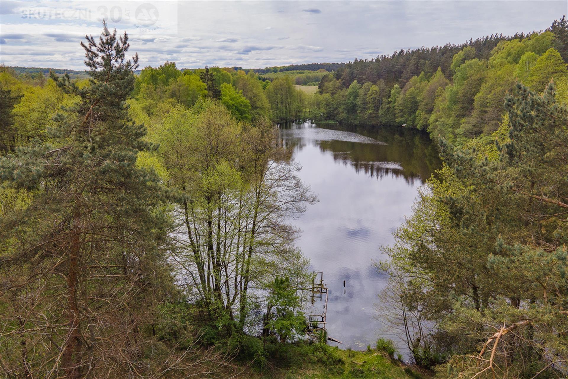 Działka - Drzewiany  (3)