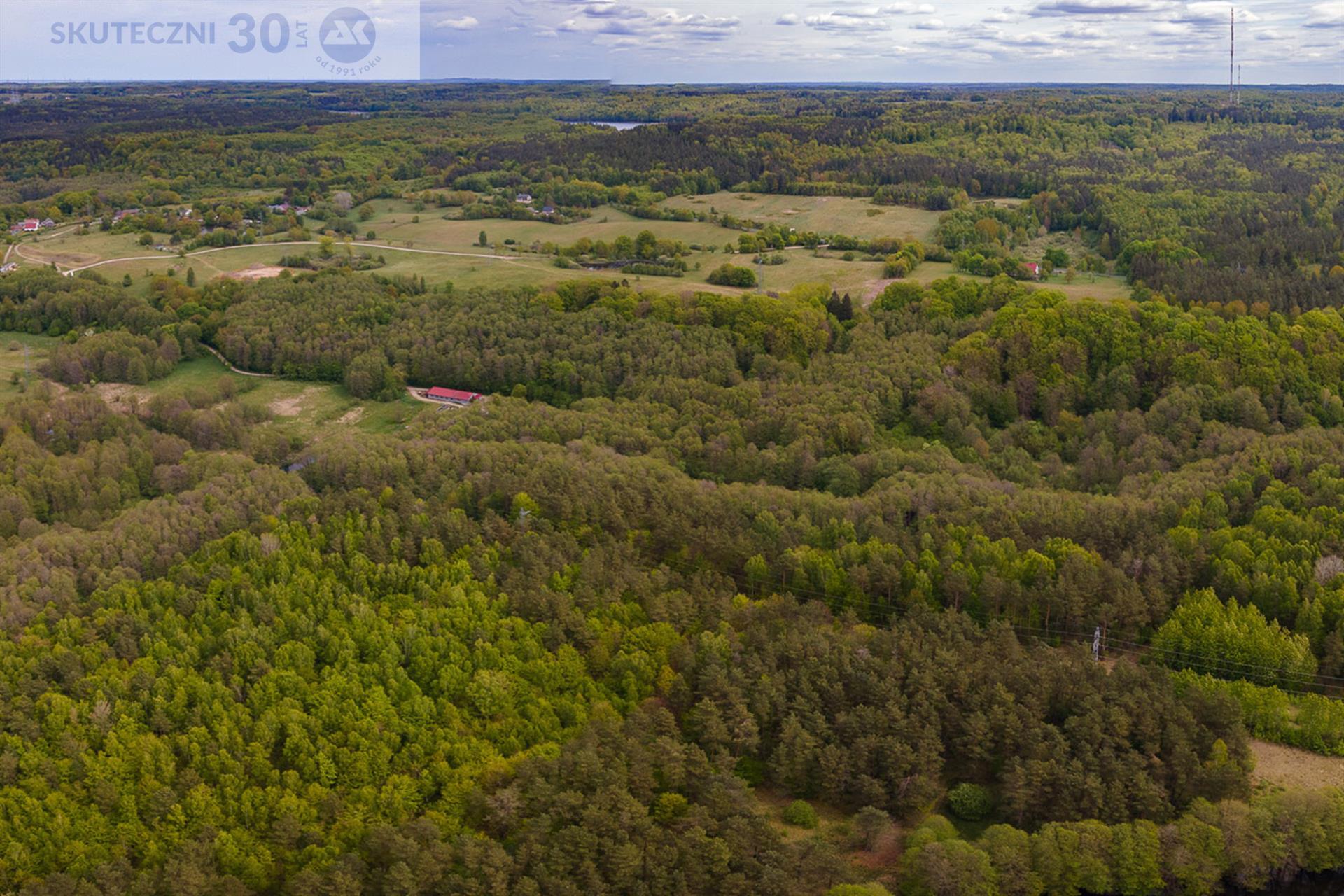 Działka - Drzewiany  (4)