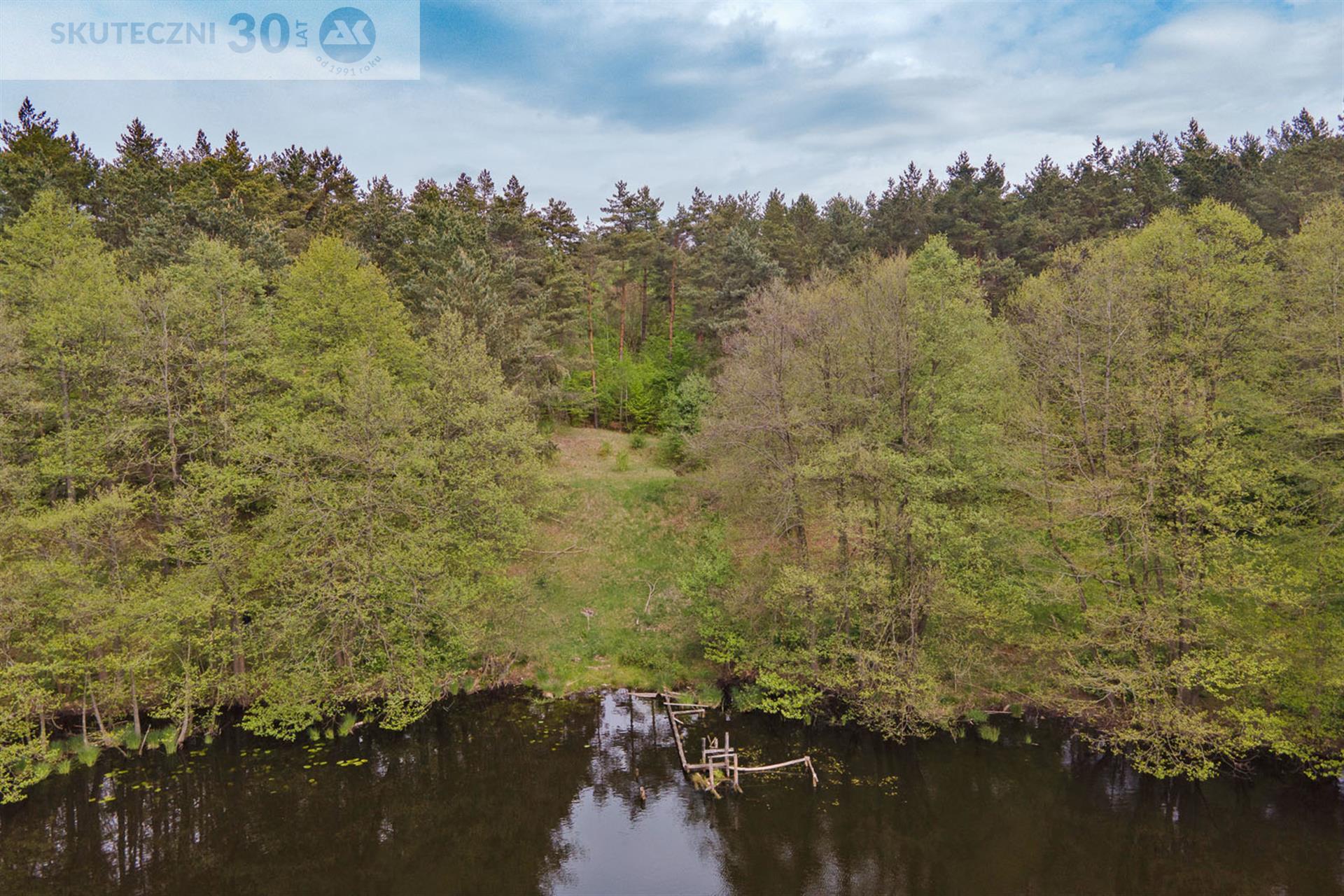 Działka - Drzewiany  (5)