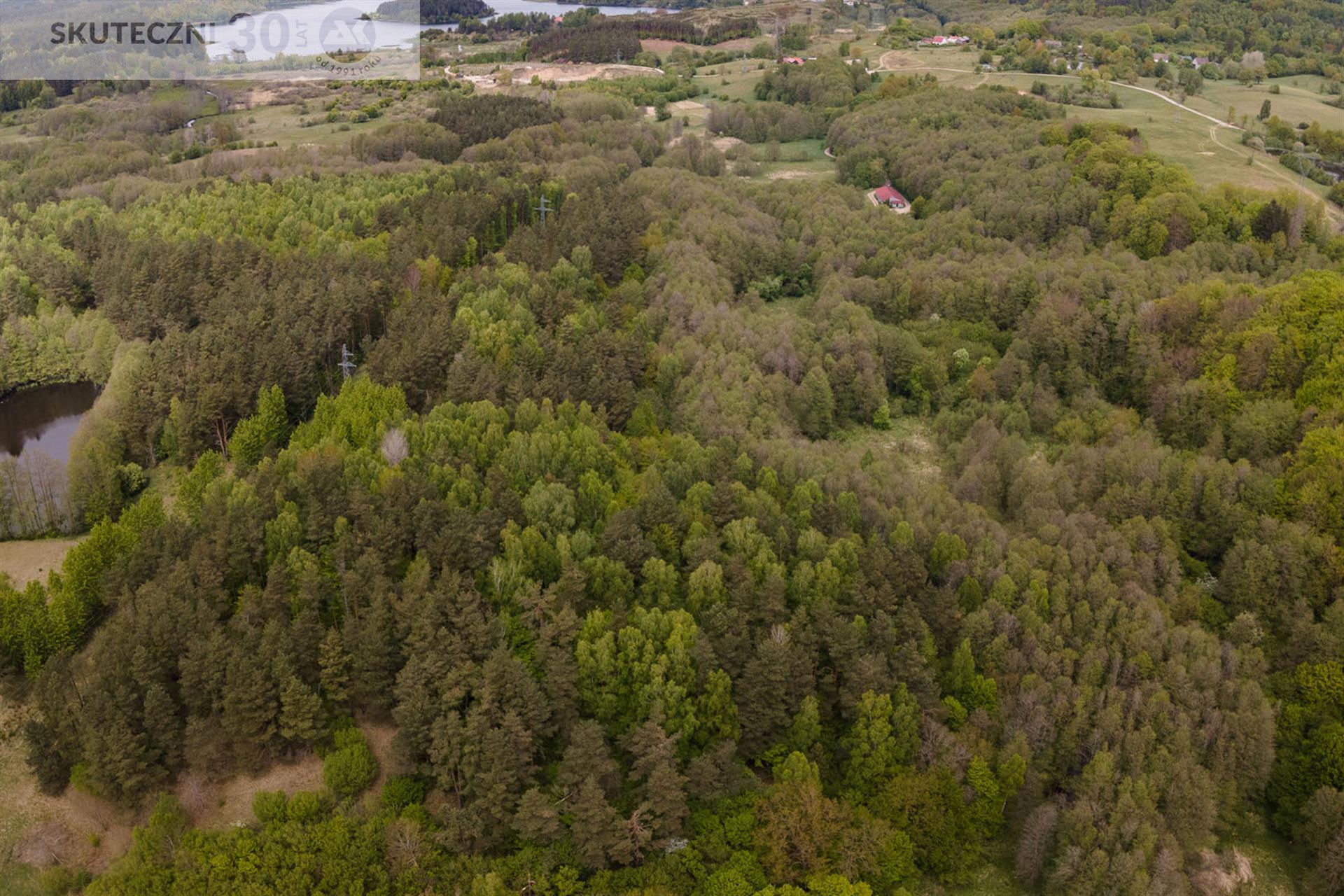 Działka - Drzewiany  (6)