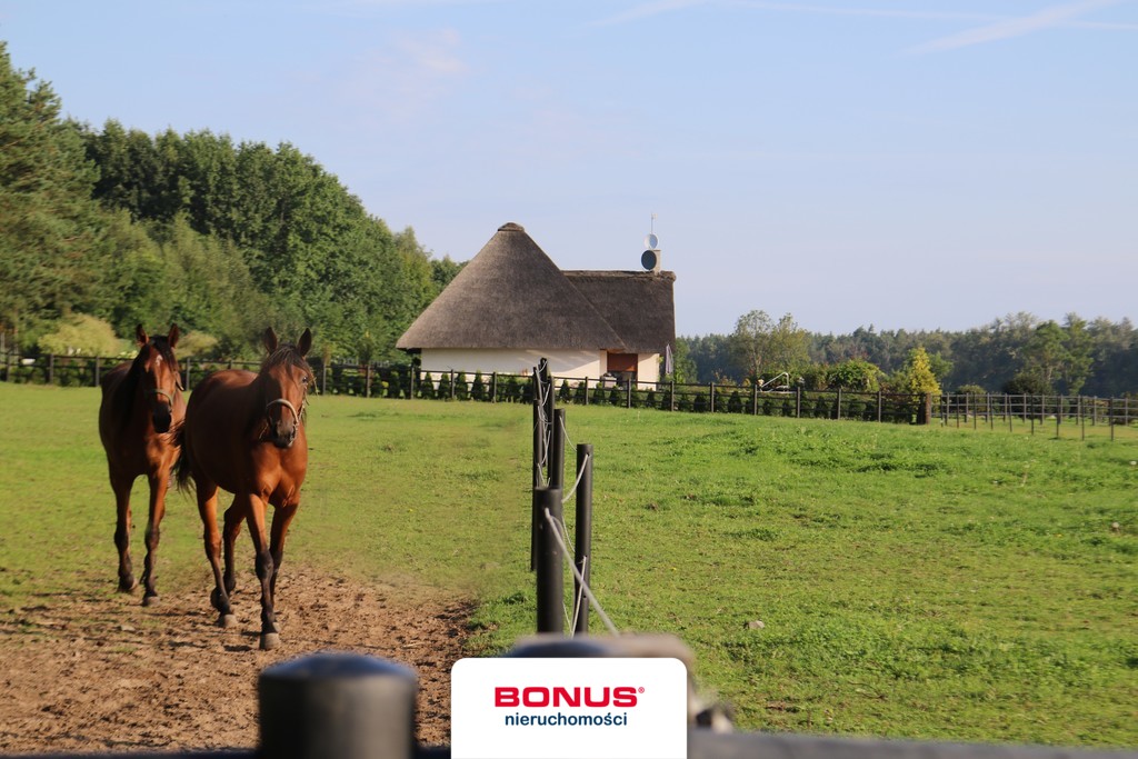 Wolno stojący, 985 m2, Dobropole  (1)