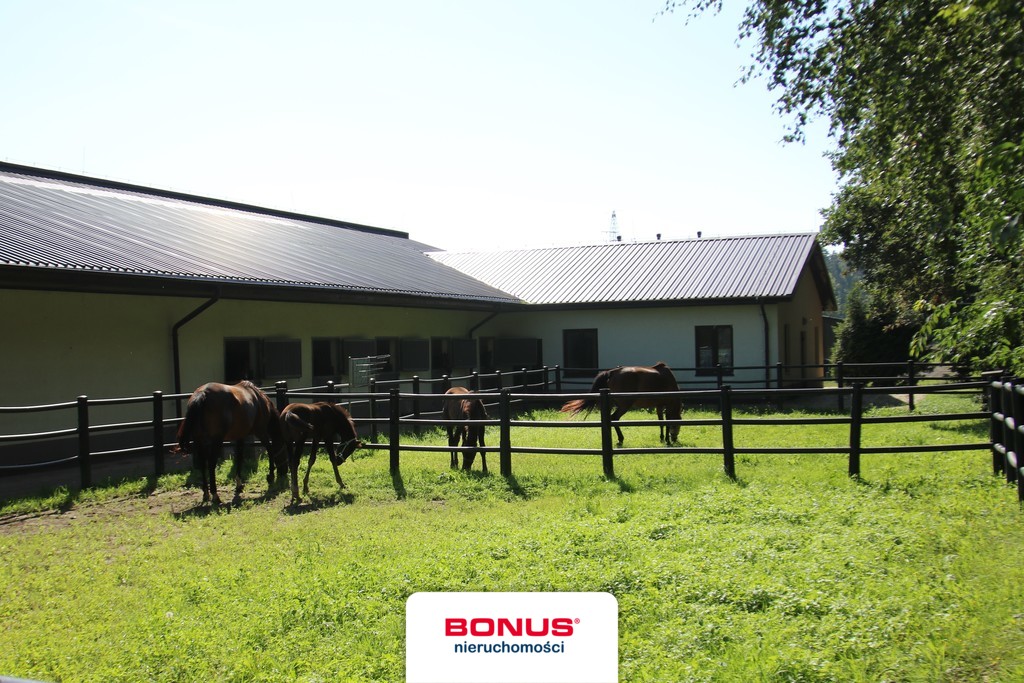 Wolno stojący, 985 m2, Dobropole  (7)