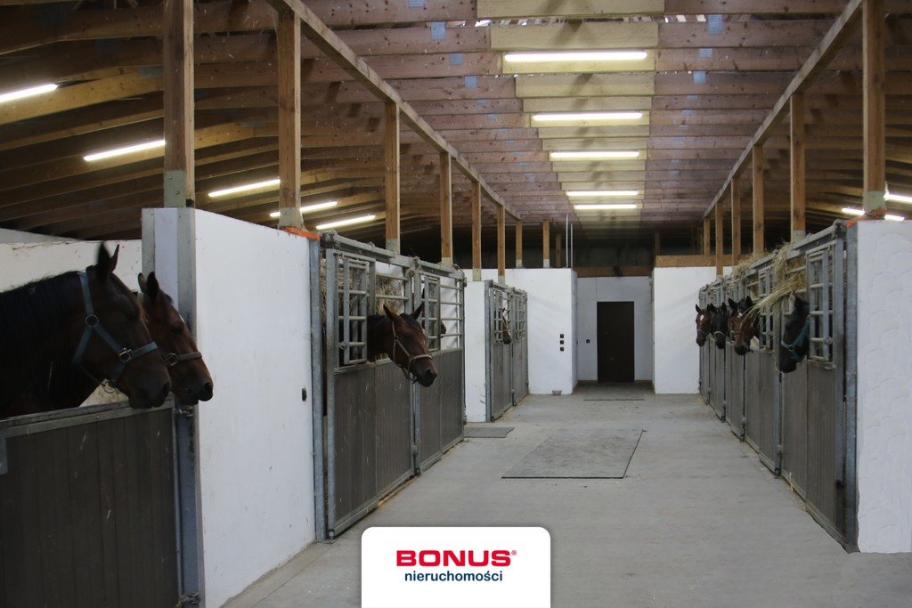 Wolno stojący, 985 m2, Dobropole  (10)