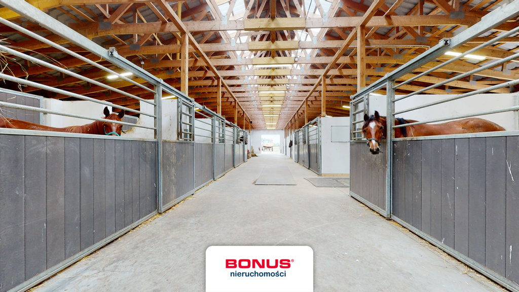 Wolno stojący, 985 m2, Dobropole  (11)