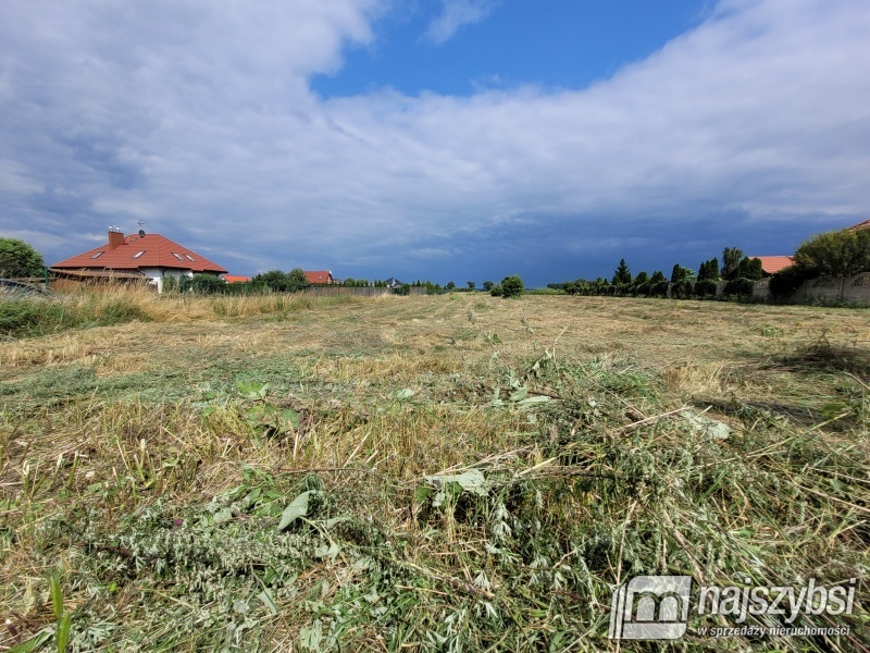 Lubczyna-900 m do Jeziora Dąbie . (11)