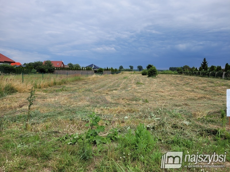 Lubczyna-900 m do Jeziora Dąbie . (5)