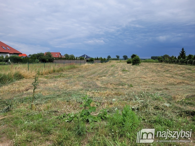 Lubczyna-900 m do Jeziora Dąbie . (6)