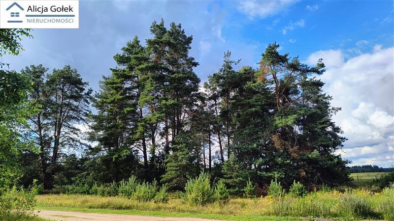 Biały Bór - Kaliska - działka budowlana o pow. 1.2 (2)