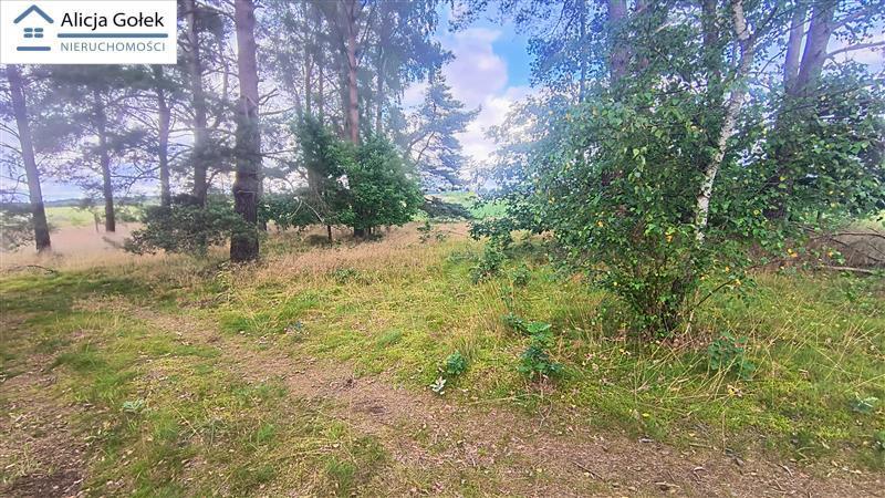 Biały Bór - działka budowlana o pow. 1.299m2 z war (9)