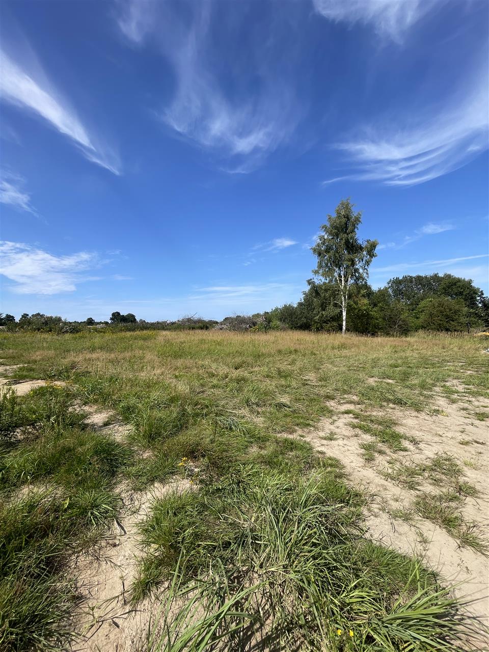 Działka budowlana Niekłonice, MPZP, 139.000 zł ! (3)