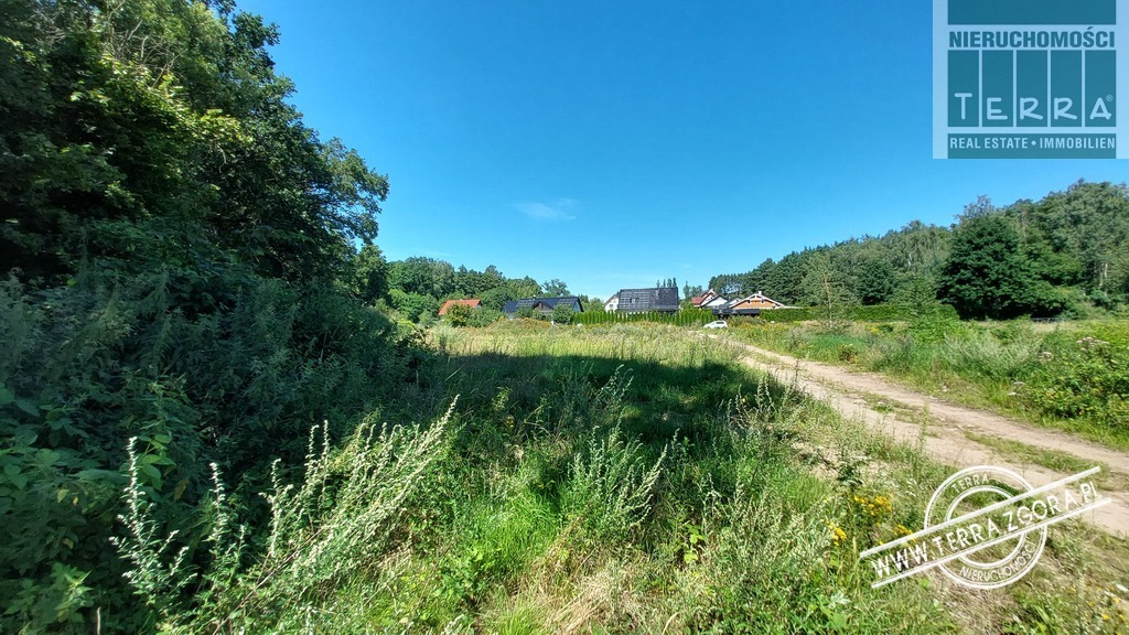 DROSZKÓW/ŁAZ działka POD LASEM (5)
