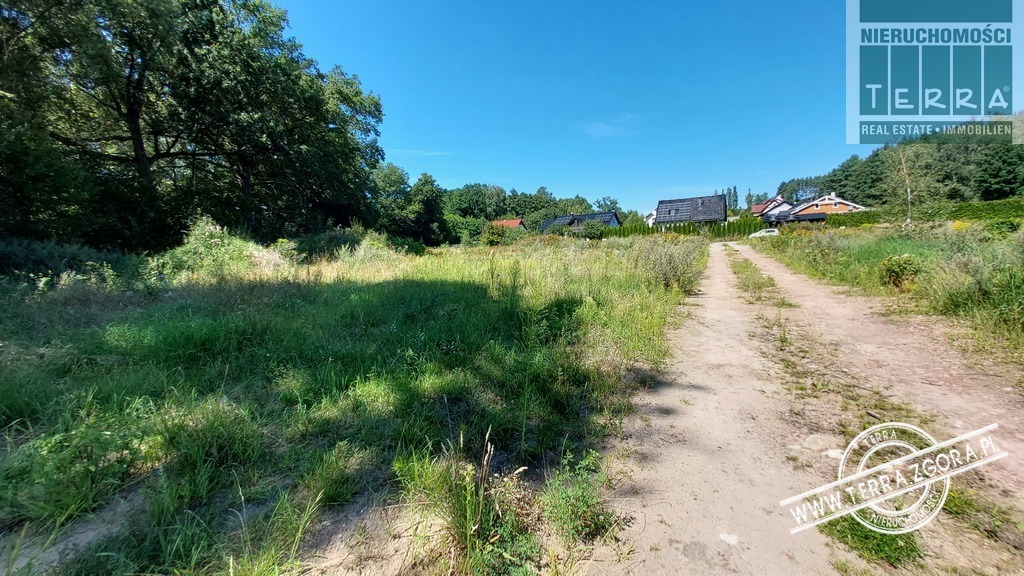 DROSZKÓW/ŁAZ działka POD LASEM (6)