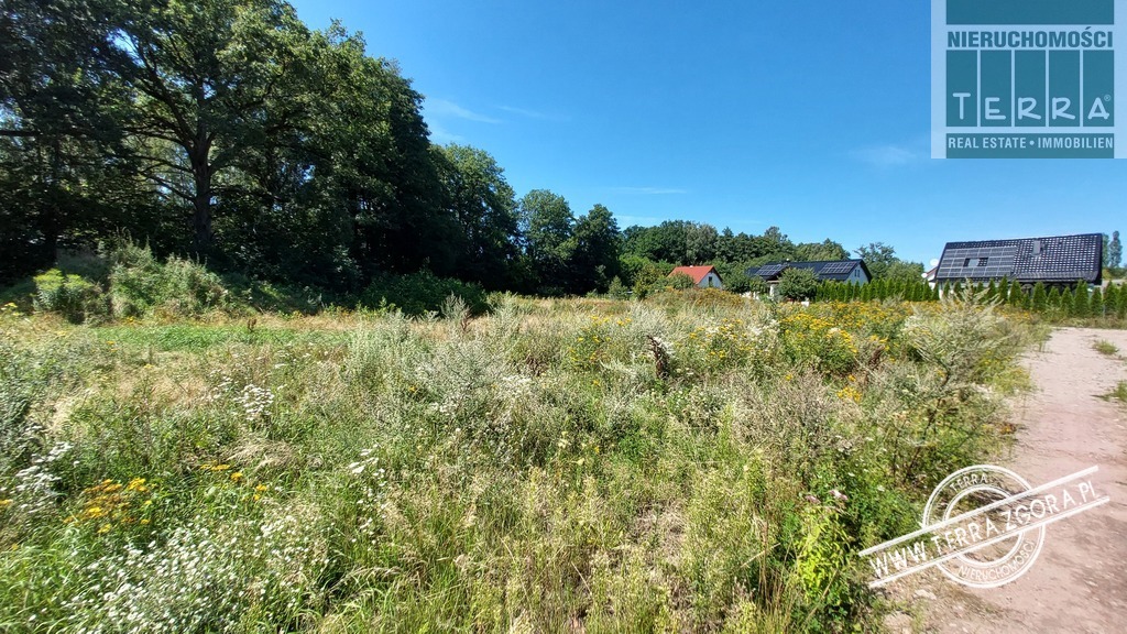 DROSZKÓW/ŁAZ działka POD LASEM (1)