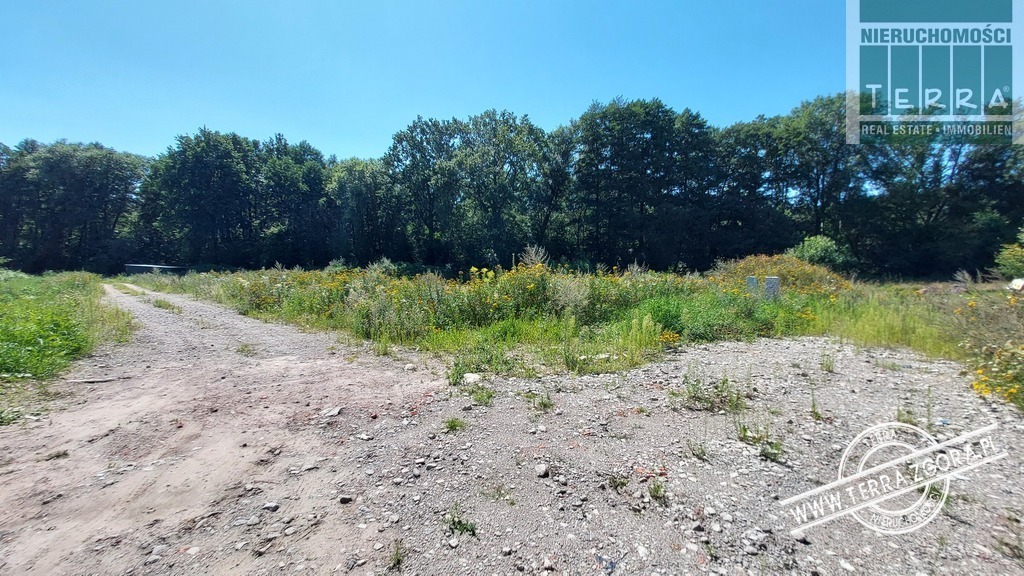 DROSZKÓW/ŁAZ działka POD LASEM (4)