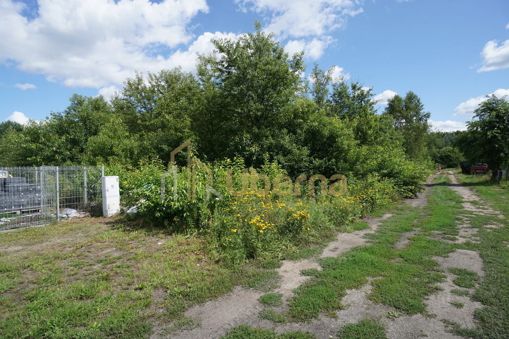 Atrakcyjna działka budowlana w malowniczej Rurzycy (5)