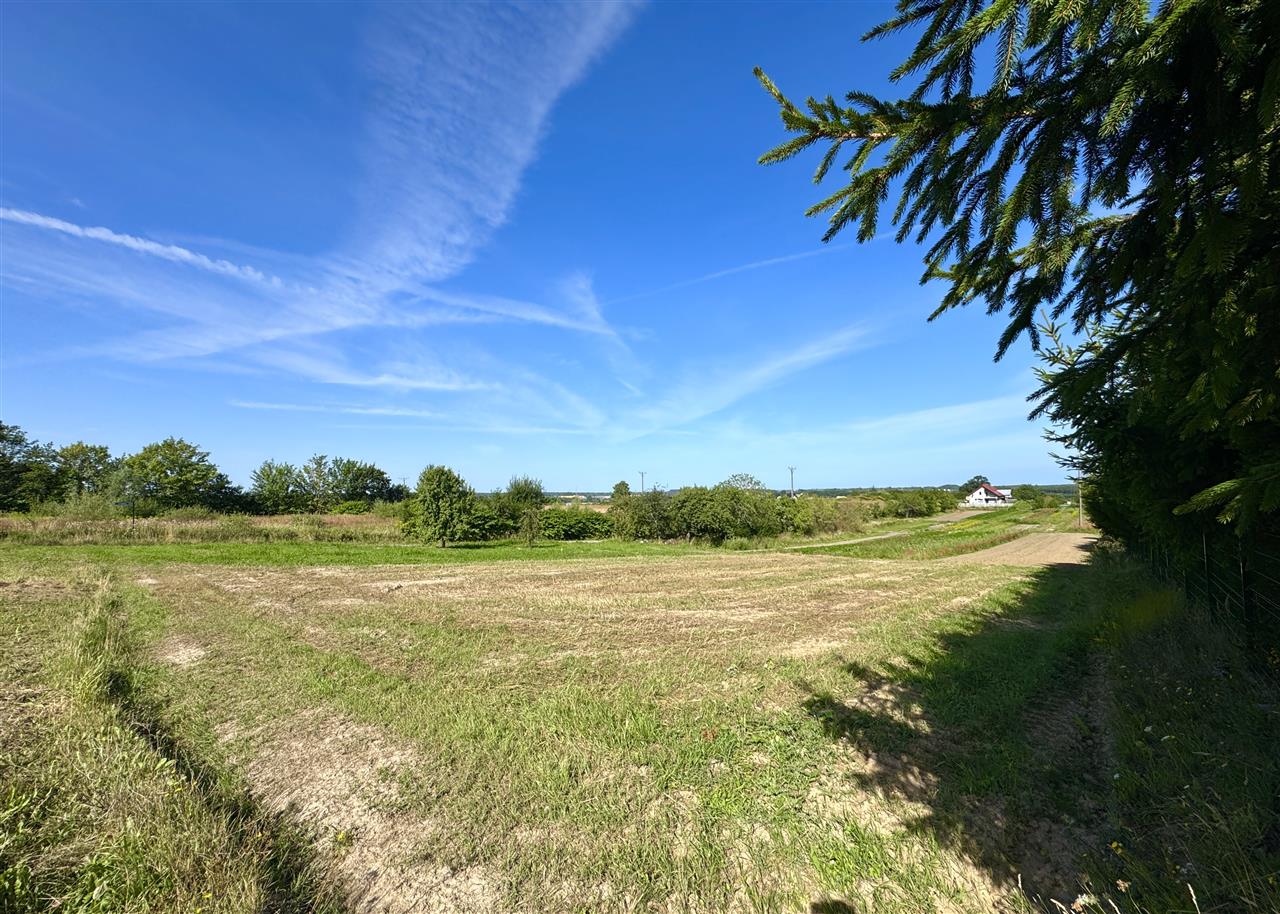 Działka - Skwierzynka Skwierzynka (3)